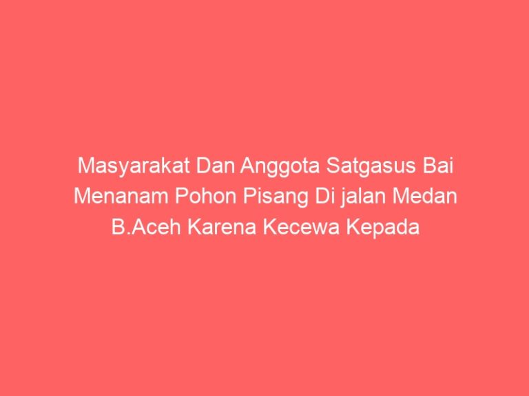 Masyarakat Dan Anggota Satgasus Bai Menanam Pohon Pisang Di jalan Medan B.Aceh Karena Kecewa Kepada Pemerintah Yang Seakan Tutup Mata