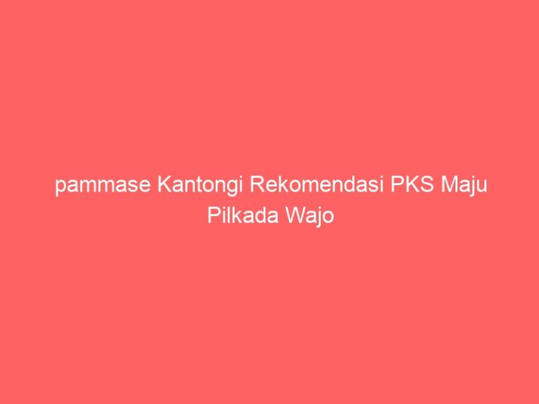 pammase Kantongi Rekomendasi PKS Maju Pilkada Wajo