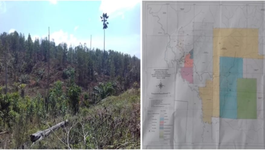 Kecam Perusahaan Perusak Kawasan Hutan Lindung, Satgas Inti Prabowo Desak Negara Bertindak Tegas