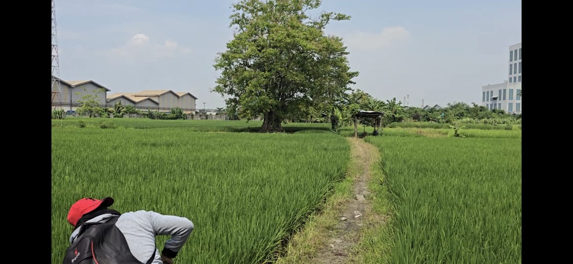Dugaan Pemalsuan Grant Sultan, Pemilik Lahan Laporkan 15 Terlapor di Poldasu